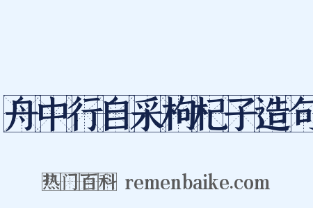 舟中行自采枸杞子造句是什么意思的图片